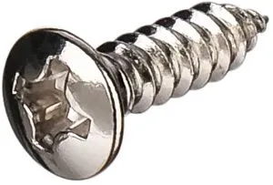 Paxphil WO3012-CR Саморез 3х12 мм, хром.