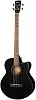 Cort AB850F-BK-Bag Бас-гитара акустическая.-0