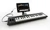 Korg Microkey2-37 Midi-клавиатура.-3