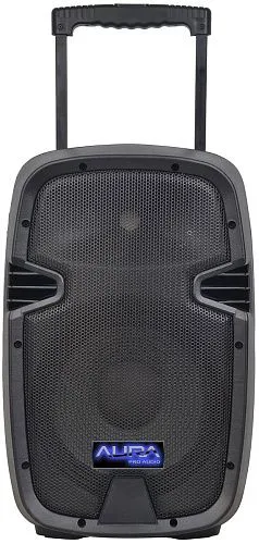 Aura A210MP3-Battery Активная акустическая система 10".