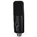 Alctron CU58 Микрофон USB студийный, конденсаторный.-1