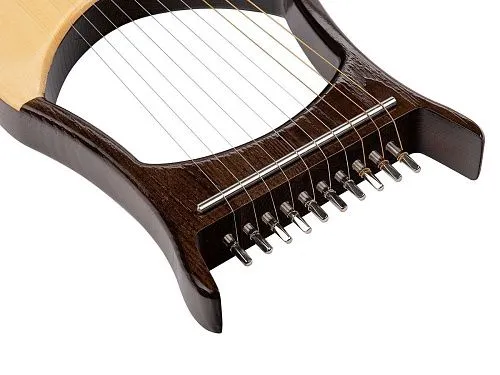 Мозеръ LH-10R Лира 10-струнная, резонаторный корпус, с чехлом.