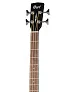 Cort AB850F-BK-Bag Бас-гитара акустическая.-1
