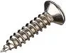 Paxphil WO2512-CR Саморез 2,5х12 мм, хром.-2
