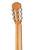 Alhambra 803-2C Classical Student 2C Гитара классическая.-5