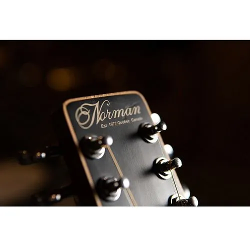 Norman 021109 Protege B18 12 Cedar (Б/У)